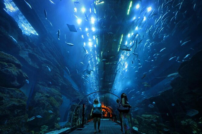 Dubai Mall Aquarium & Underwater Zoo with Penguin Cove Tickets - Key points to know before you go
