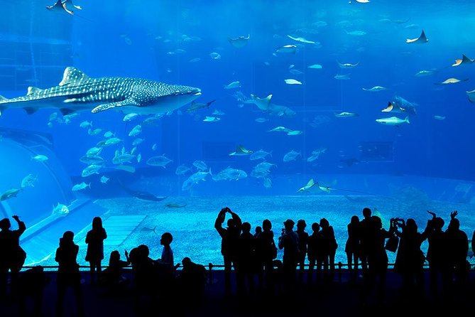 Dubai Mall Aquarium & Underwater Zoo with Penguin Cove Tickets - The main tank inside Dubai Mall
