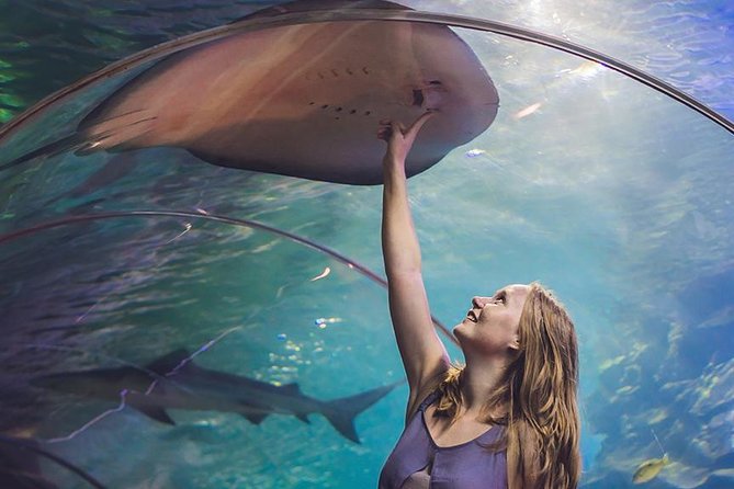 Dubai Mall Aquarium & Underwater Zoo with Penguin Cove Tickets - The Underwater Zoo and its unusual residents