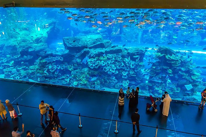 Dubai Mall Aquarium & Underwater Zoo with Penguin Cove Tickets - Penguin Cove and the included extras