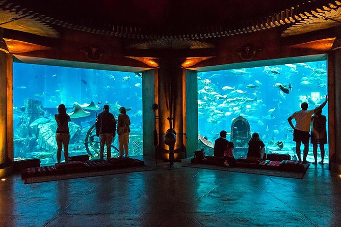 Dubai Mall Aquarium & Underwater Zoo with Penguin Cove Tickets - Is $54.52 good value?