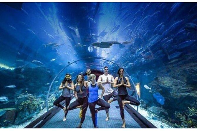 Dubai Mall Aquarium with Penguin Cove + Skyview Ticket - Two Dubai attractions, one very full mall visit