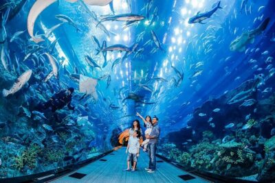 Dubai Mall Aquarium with Penguin Cove + Skyview Ticket