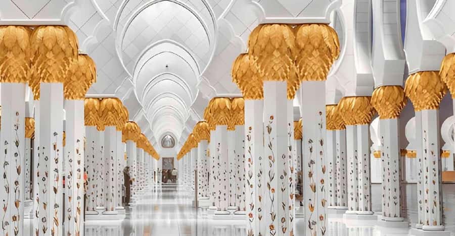 Dubai: Sheikh Zayed Mosque & SeaWorld Entry w/ Transfer - Key points to know before you book