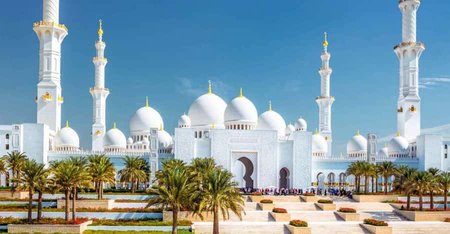 Dubai: Sheikh Zayed Mosque & SeaWorld Entry w/ Transfer - Four hours at SeaWorld Abu Dhabi