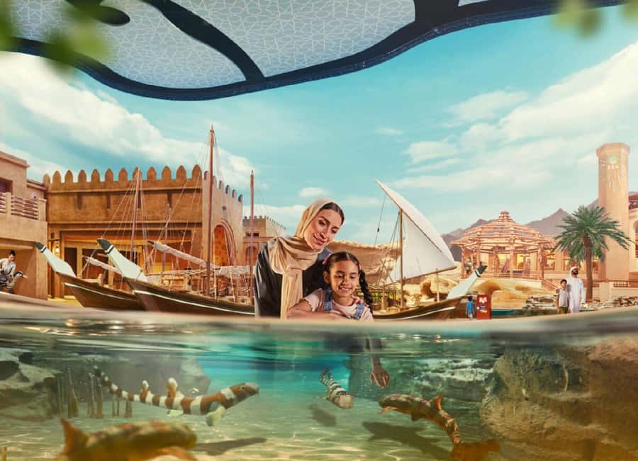 Dubai: Sheikh Zayed Mosque & SeaWorld Entry w/ Transfer - Who will enjoy this day most