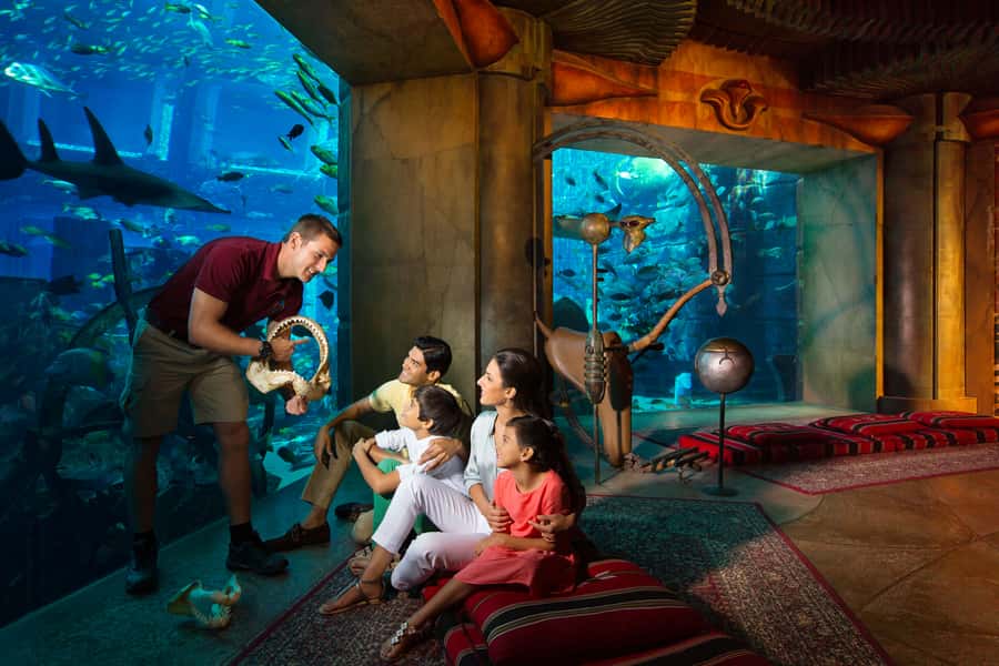 Dubai: The Lost Chambers Aquarium Atlantis Diving Experience - Choosing Discovery or Explorer