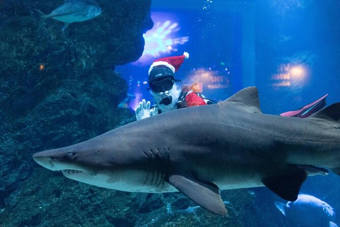 Duo SEA LIFE and Madame Tussauds Ticket in Bangkok - Feeding time, penguins, and the smaller creatures