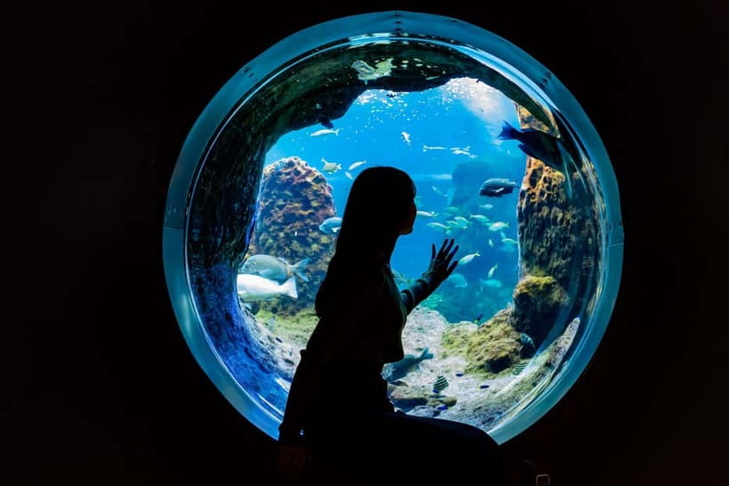 Enoshima Aquarium: Admission Ticket - Sagami Bay gives the visit a local starting point
