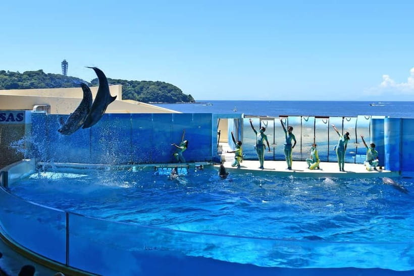 Enoshima Aquarium: Admission Ticket - From coastal waters to the deep sea
