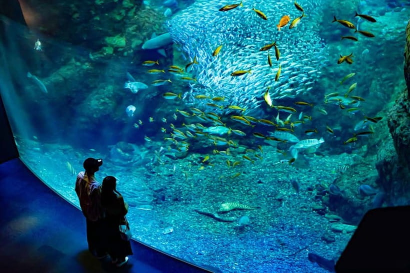 Enoshima Aquarium: Admission Ticket - Shows and programs add more than static displays