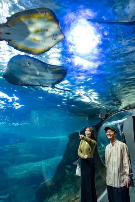 Enoshima Aquarium: Admission Ticket - Jellyfish provide a calmer change of pace