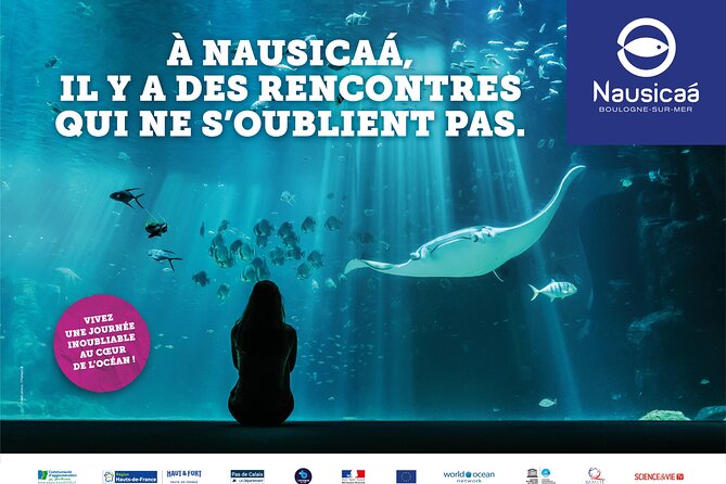 Entrance Ticket Nausicaa, the biggest aquarium in Europe - A visit with a conservation message