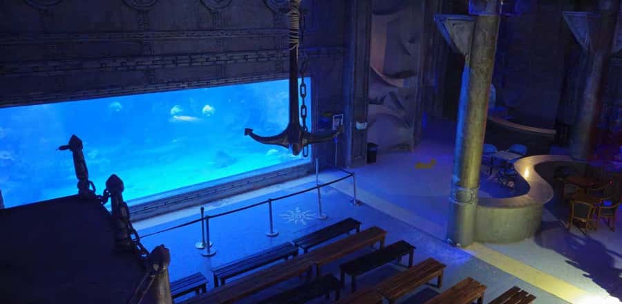 Entry Ticket: Grand Aquarium Hurgada - Key points to know before you go
