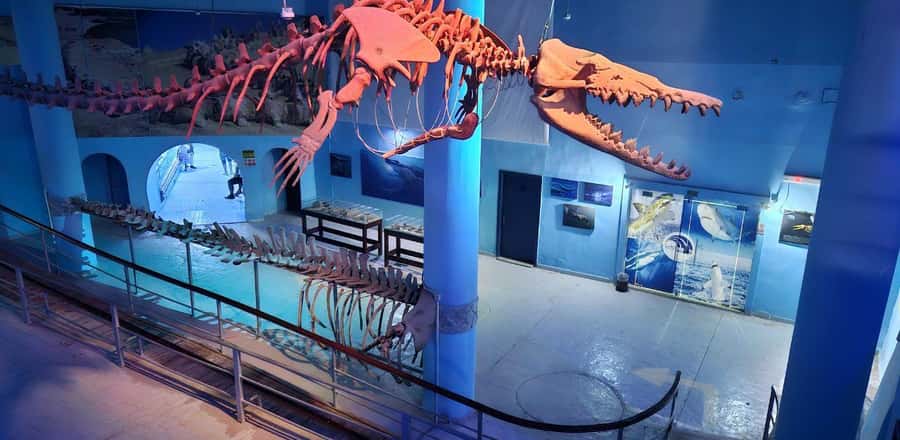 Entry Ticket: Grand Aquarium Hurgada - Location, opening hours, and access