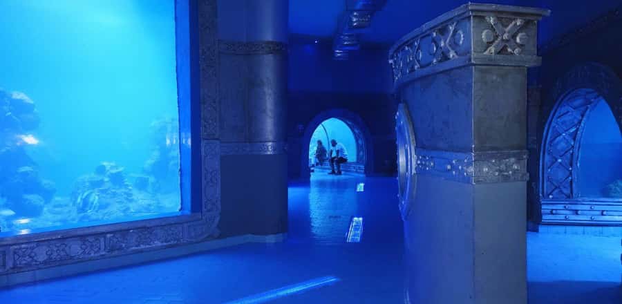 Entry Ticket: Grand Aquarium Hurgada - Walking beneath sharks in the 24-meter tunnel