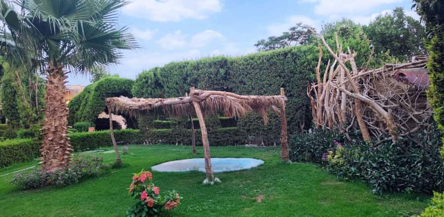 Entry Ticket: Grand Aquarium Hurgada - Crossing the rope bridge and entering the rainforest