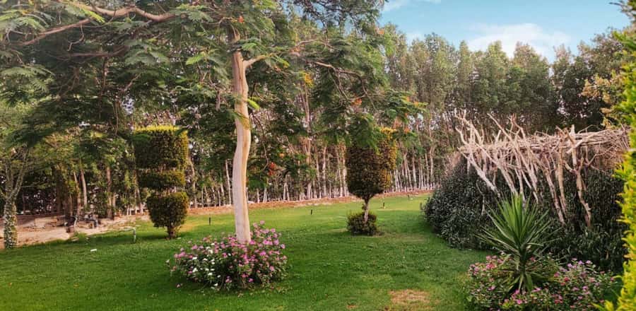 Entry Ticket: Grand Aquarium Hurgada - Getting close to turtles, tortoises, and other animals