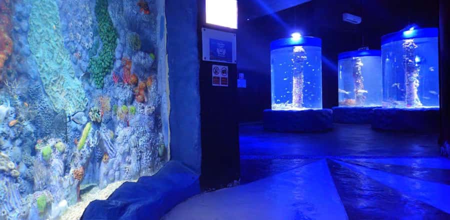 Entry Ticket: Grand Aquarium Hurgada - How the visit works for families