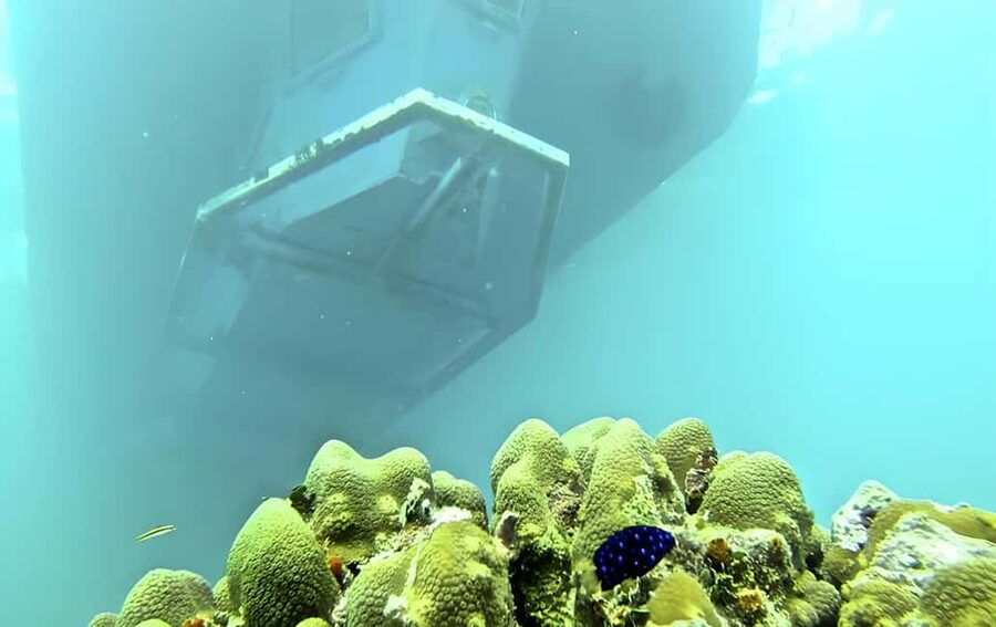 Experience the Exciting Caribbean Underwater World - Who will enjoy this most