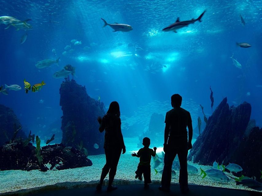 From city of Side: Antalya Aquarium Full-Day Trip - Key points to know before booking
