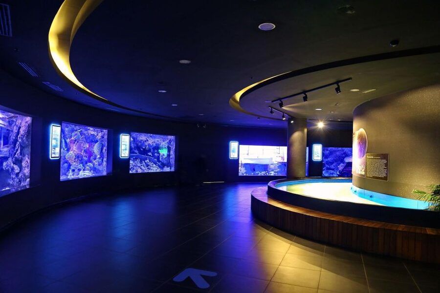 From city of Side: Antalya Aquarium Full-Day Trip - What this Side to Antalya day actually includes
