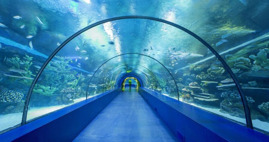 From city of Side: Antalya Aquarium Full-Day Trip - The wild park and its sound effects