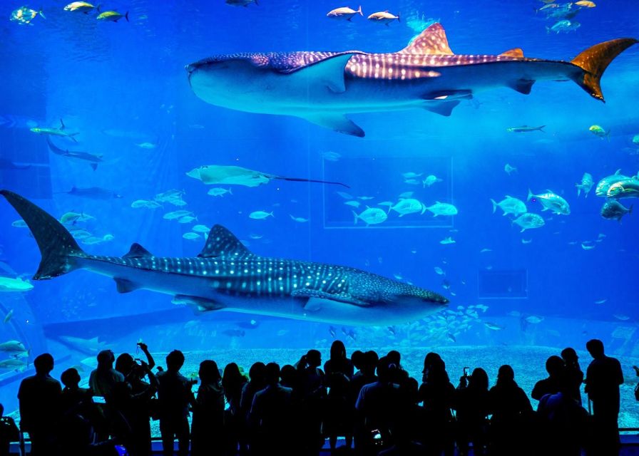 From city of Side: Antalya Aquarium Full-Day Trip - Waterfall stop and Antalya free time