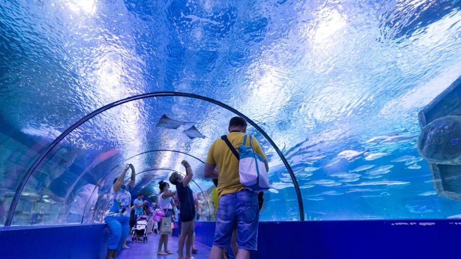 From city of Side: Antalya Aquarium Full-Day Trip - Is $77 a fair price?
