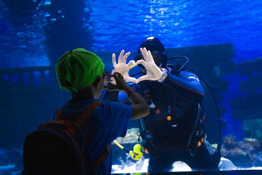 From City of Side: Antalya Aquarium Tour, Ticket & Transfer - Key points at a glance
