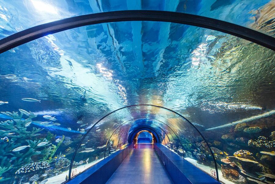 From City of Side: Antalya Aquarium Tour, Ticket & Transfer - Inside Antalya Aquarium’s 64 tanks