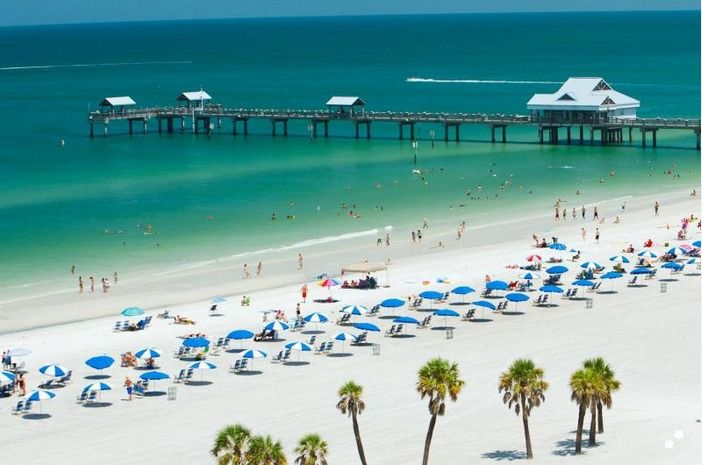 From Orlando: Clearwater Beach and Marine Aquarium Admission - Key points to know before booking