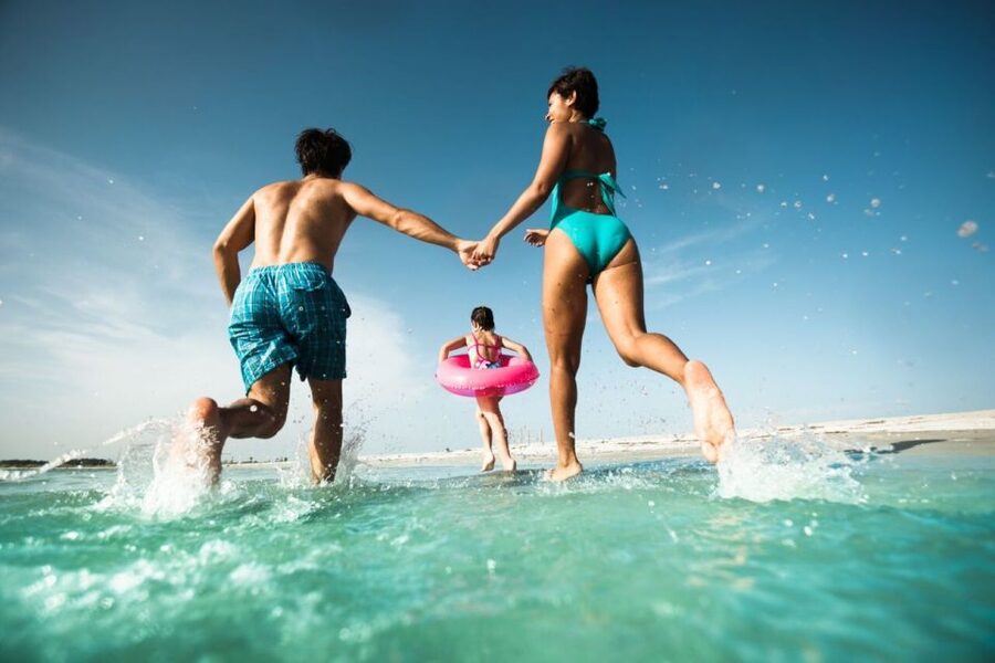 From Orlando: Clearwater Beach and Marine Aquarium Admission - Is $139 good value?