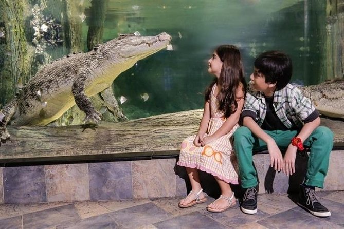 Full Day Dubai City Tour: Burj Khalifa & Underwater Zoo Ticket - Palm Jumeirah and Atlantis show Dubai’s grandest project