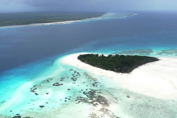 Full Day Private Mnemba Island + Turtles Aquarium & Kendwa Beach - Mnemba Island starts with an early search for dolphins