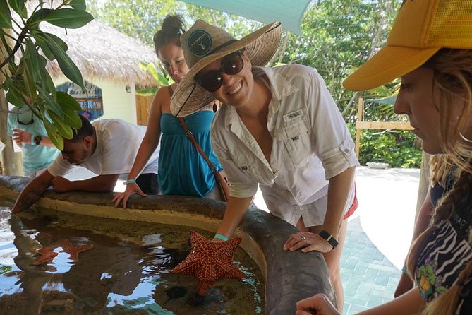 Full-Day Tour of Florida Keys Including Aquarium Encounters from Key West - Crossing the Overseas Highway from Key West