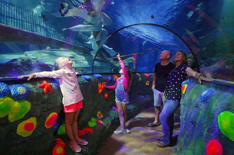 Gardaland SEA LIFE Aquarium: Open Date Entry Ticket - Forty tanks cover more than one kind of sea life