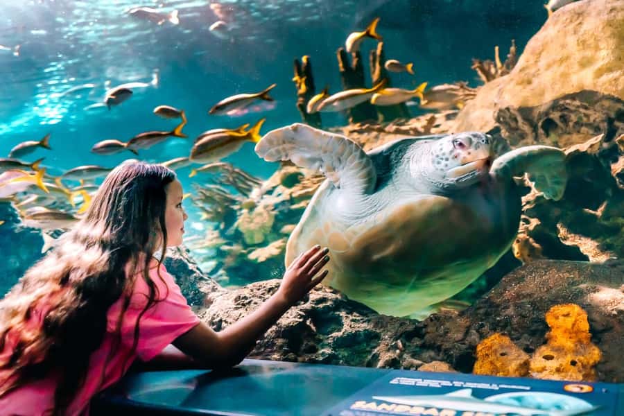 Gatlinburg: Ripley's Aquarium of the Smokies & Combo Ticket - Mini Golf Gives You a Slower Break