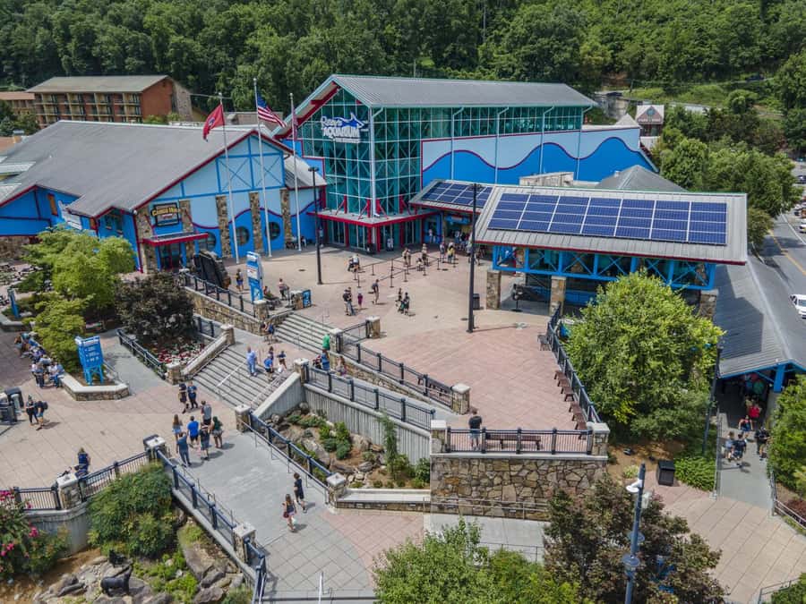 Gatlinburg: Ripley's Aquarium of the Smokies & Combo Ticket - Think Carefully Before Choosing the Haunted Adventure