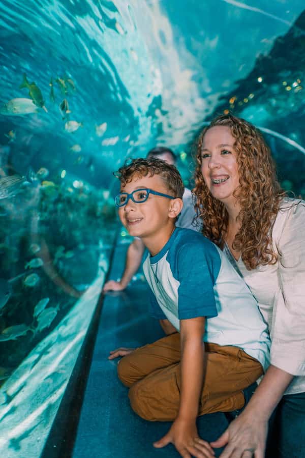 Gatlinburg: Ripley's Aquarium of the Smokies & Combo Ticket - Is $44 Good Value for a Full Day?