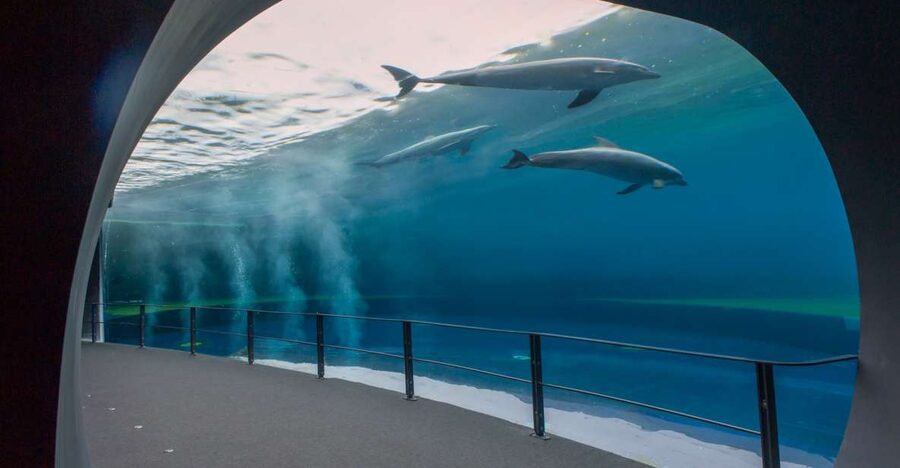 Genoa: Aquarium and FantaCinema Combined Ticket - Entering the Aquarium of Genoa