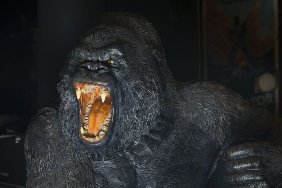 Genoa: Aquarium and FantaCinema Combined Ticket - How to plan your one-day visit