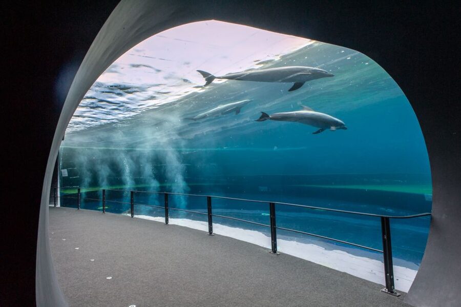 Genoa: Aquarium & Christopher Columbus' House Entry Tickets - Key points to know before booking