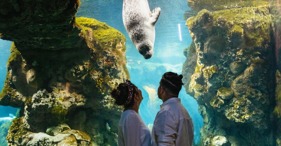 Genoa: Aquarium of Genoa Entry Ticket - Who Will Enjoy This Most