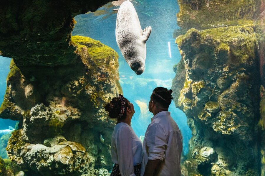 Genoa: Aquarium of Genoa Entry Ticket - Is the $35 Price Fair?