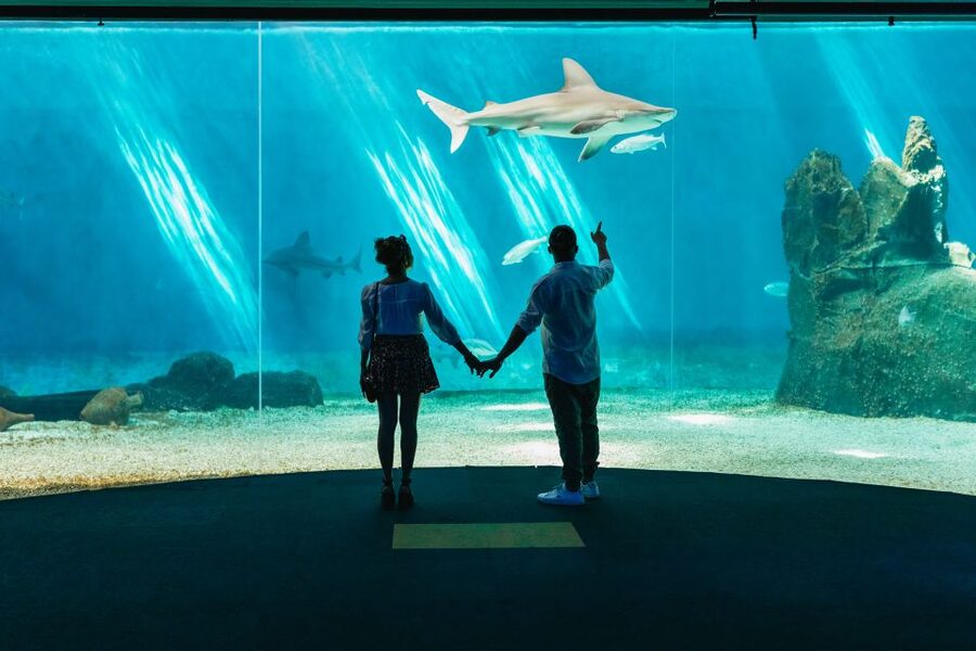 Genoa: Aquarium of Genoa Entry Ticket - Accessibility and Family Practicalities