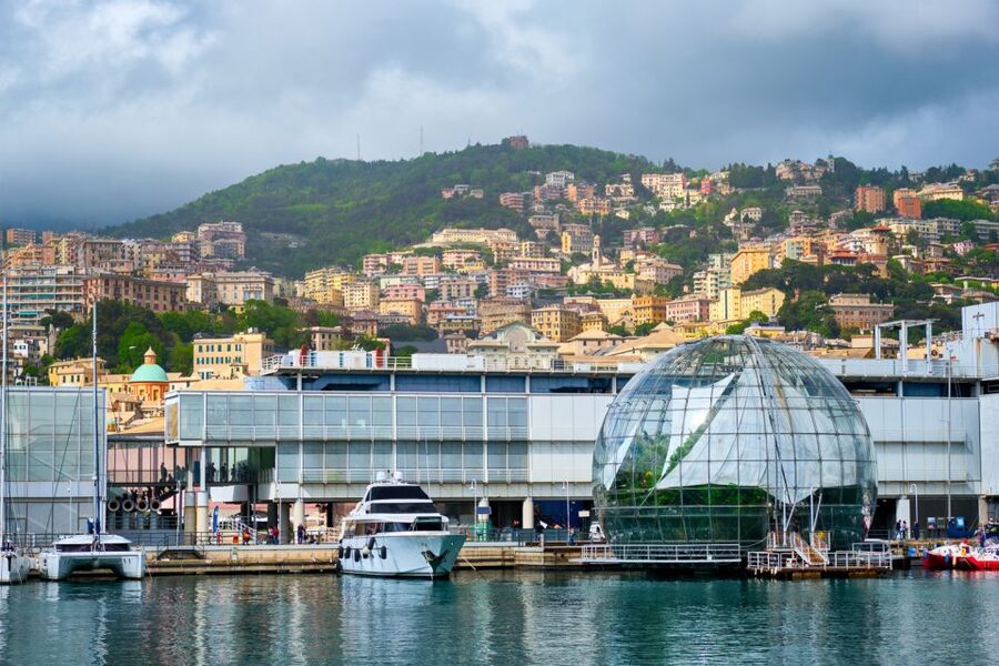 Genoa: Aquarium of Genoa with Lunch - Lunch at Tender Café