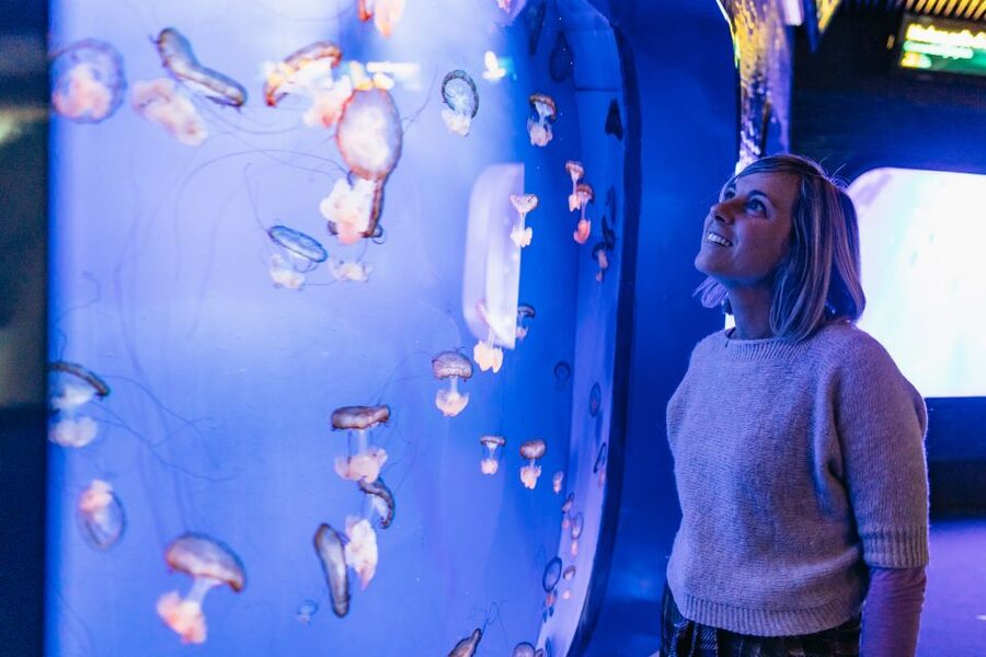 Genoa: Aquarium of Genoa with Lunch - Who gets the best value from the $42 price