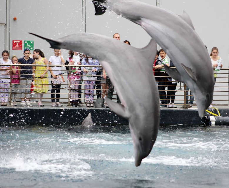 Genoa: World-Famous Aquarium and Lighthouse Combo Ticket - What makes the aquarium worth your time