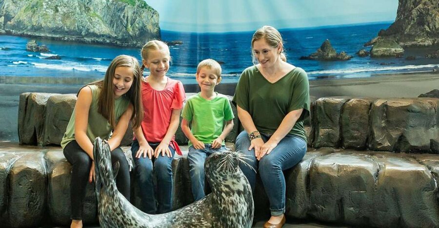 Georgia Aquarium: Sea Lion Encounter - Meeting the California sea lions behind the scenes